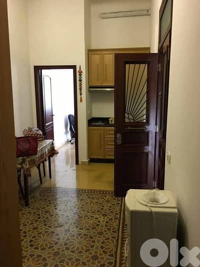 furnished classical vintage 1 bedr apartment