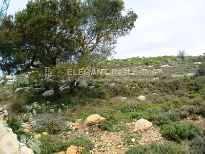 Beautiful Land | Panoramic View | Green Neighborhood