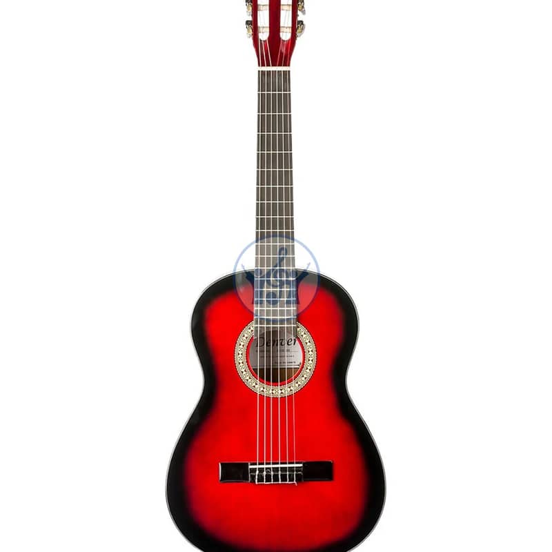 Aileen Guitar 0
