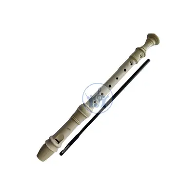 Aileen Flute / Recorder