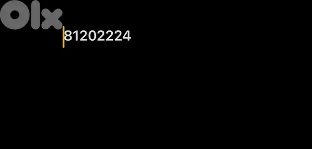 81202224