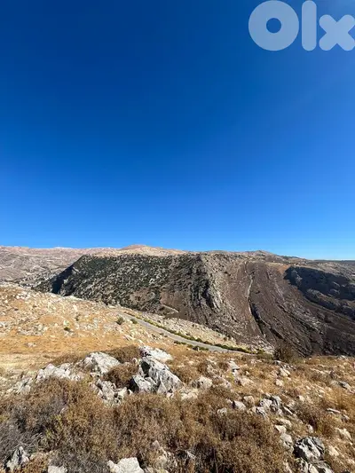 zahle hazzerta land 2000 sqm for sale #6756