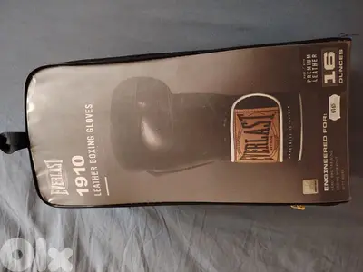 Everlast Boxing Gloves (original)