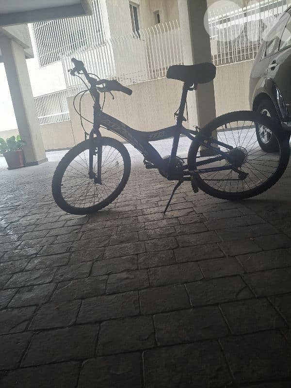 bicycle for sale 0