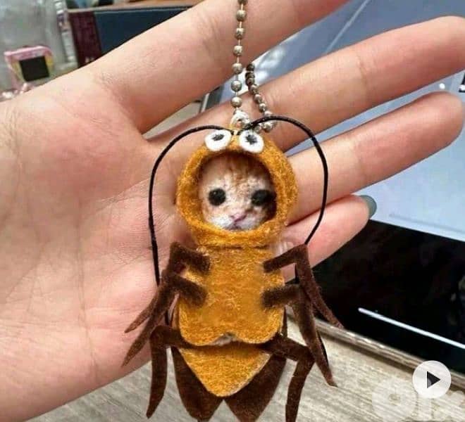 crazy keychain 3