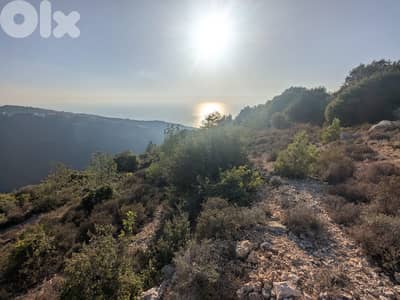 Land for sale in Blat, Jbeil  أرض للبيع في بلاط جبيل