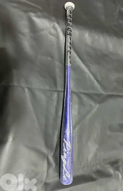 Baseball bat