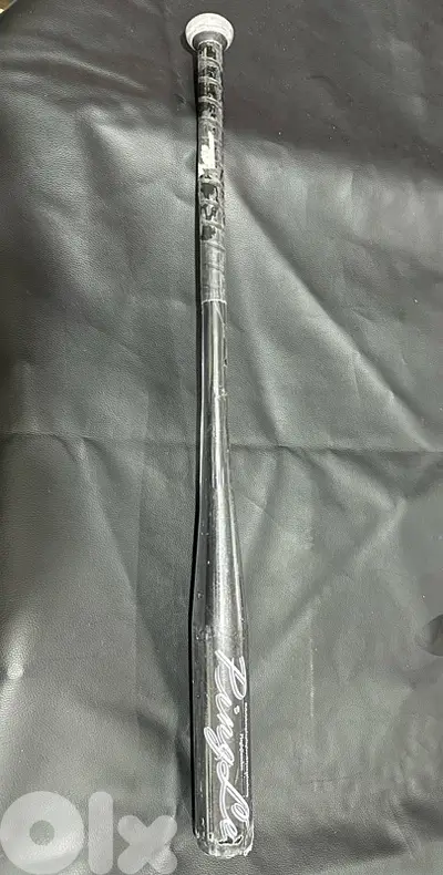 baseball bat