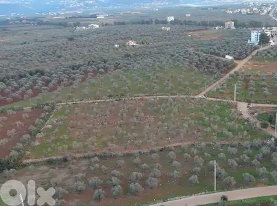 Land for sale in Btouratij-Koura أرض للبيع في بتوراتيج-الكورة