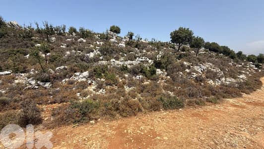 Land For Sale In Hakel Jbeil أرض للبيع في حاقل جبيل