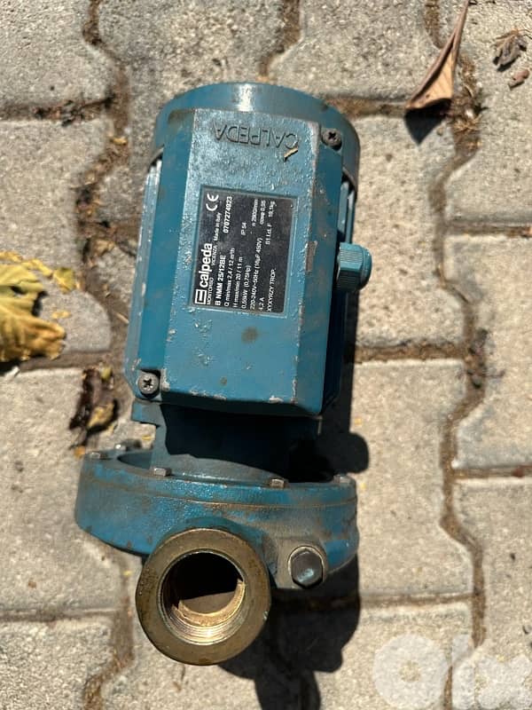calpeda (0,75 hp) 1