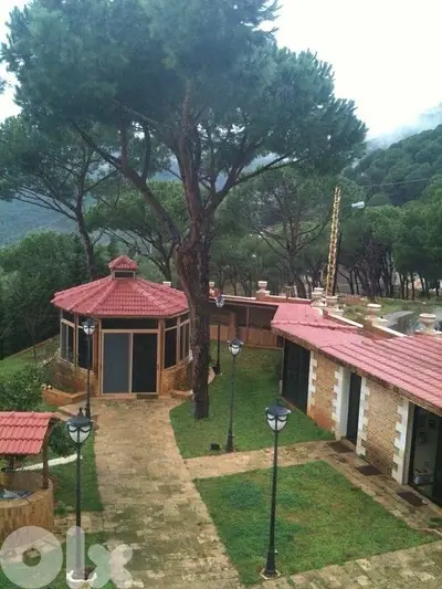 magnificent villa for sale in broumana