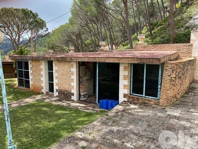 magnificent villa for sale in broumana