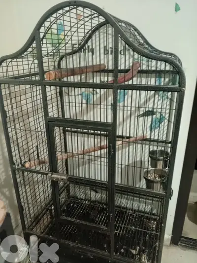 big cage for parrot