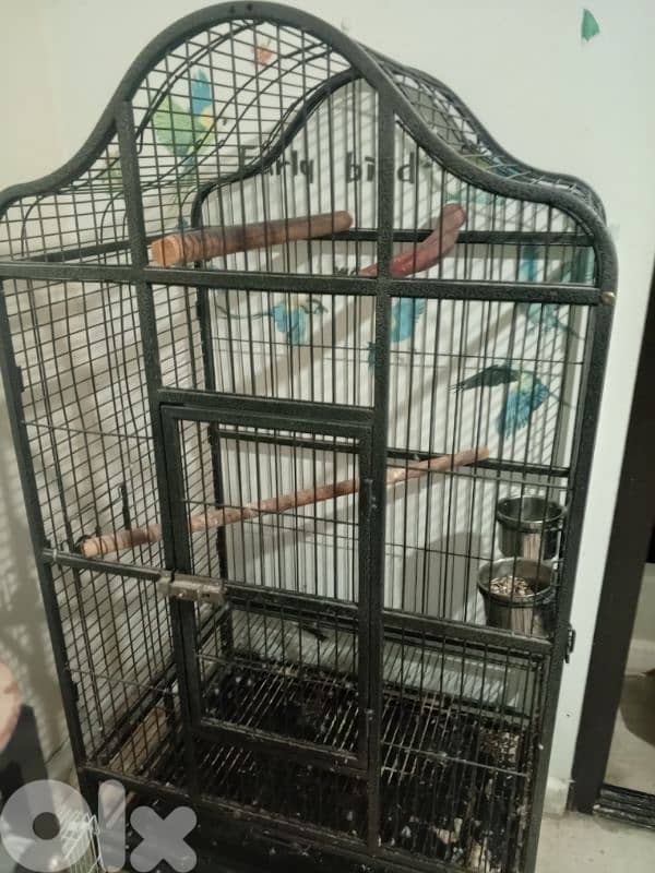 big cage for parrot 0