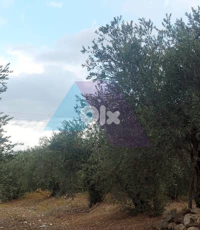 Land with Prime Location 4sale in Kousba/Koura - أرض للبيع في كوسبا