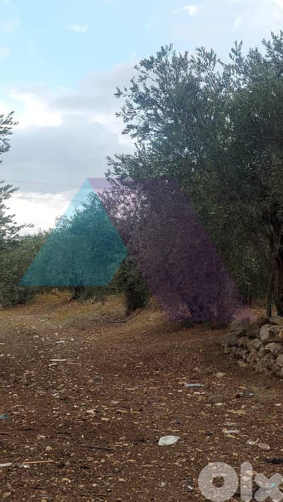 Land with Prime Location 4sale in Kousba/Koura - أرض للبيع في كوسبا