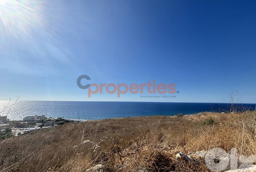 Land For Sale in Monsef Jbeil - CPJRK272 0