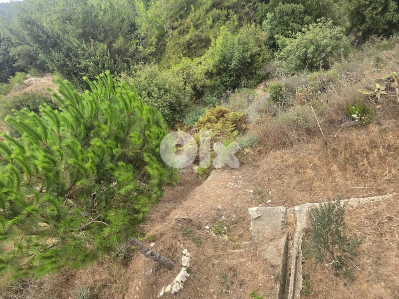 L19411 - 7,050 SQM Land For Sale in Fatqa 1