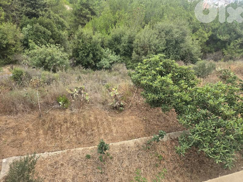 L19411 - 7,050 SQM Land For Sale in Fatqa 2