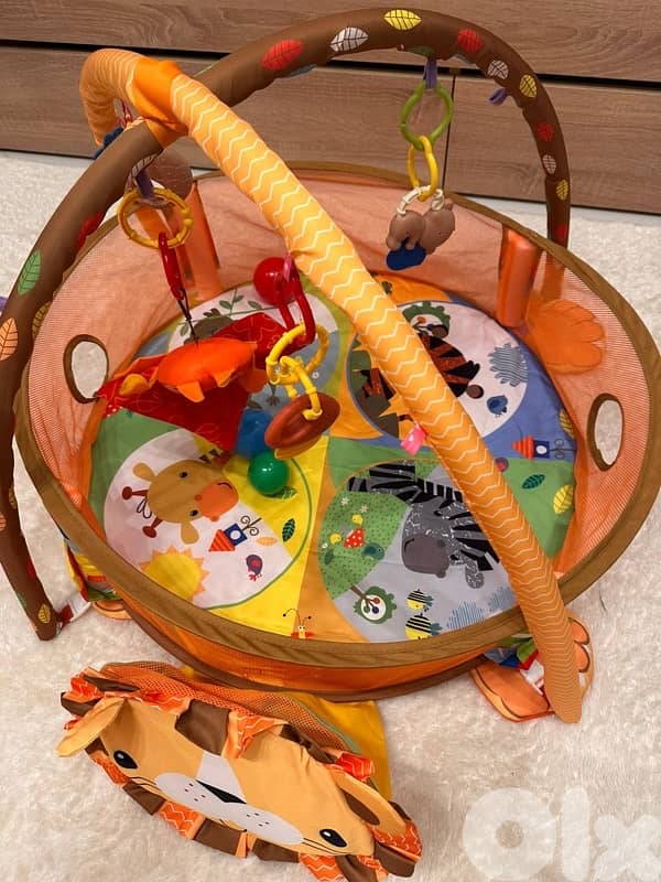 baby Gym ( Baby Einstein) 0