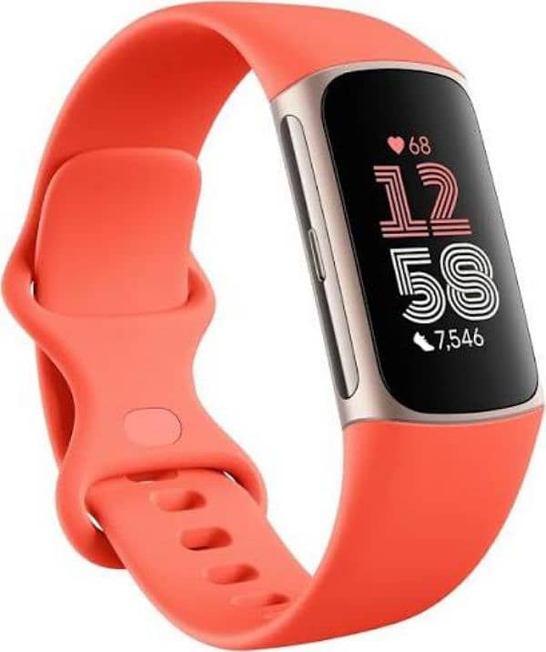 Fit Charge 6 0