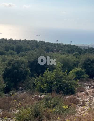 RWB170RH - Land for sale in Batroun - Aabrine