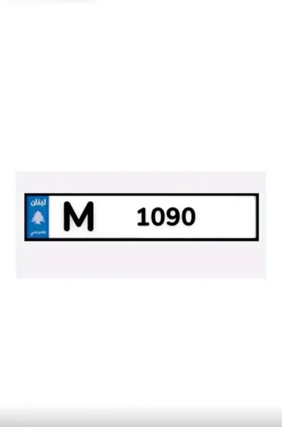 Special plate Number