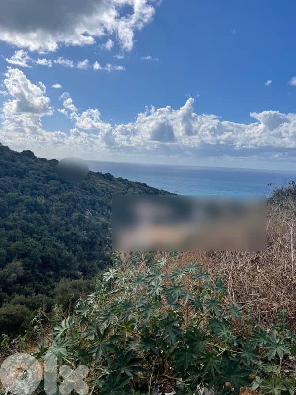 Batroun Land for Sale  5 beautiful sloping plots with breathtaking sea 1