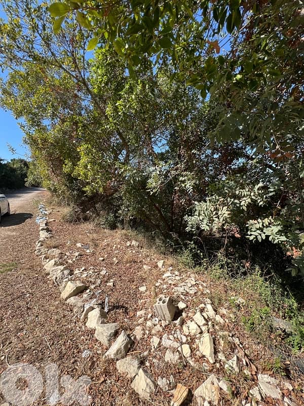 Sea View Land For Sale In New Halat 5