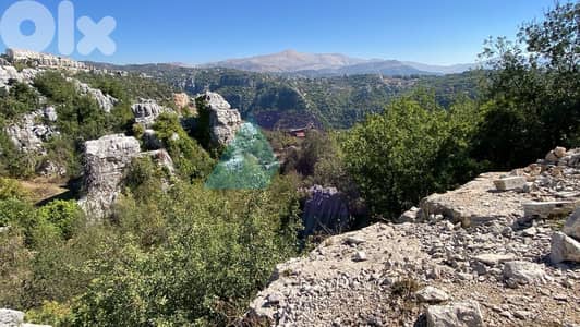 2350m2 Prime Land+mountain view 4sale in Faytroun- أرض للبيع في فيطرون