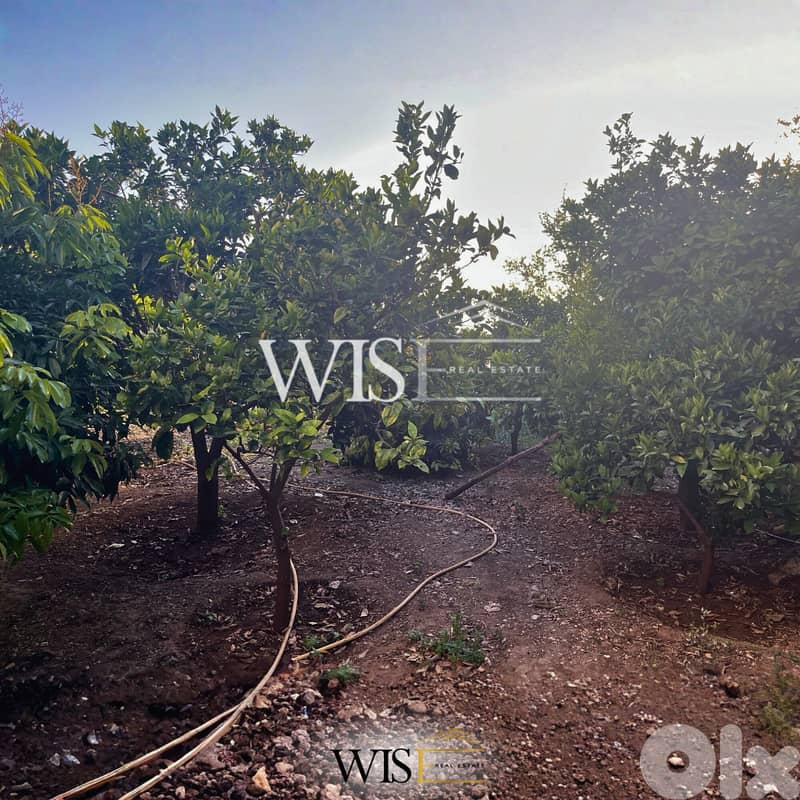 300 SQM Villa Nestled on a 680 SQM private land 1