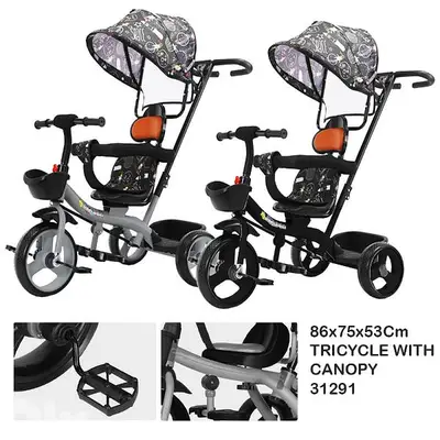 2 in 1 kids tricycle with canopy