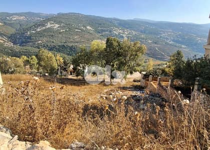 Land for sale in Ain Akrin-Koura - أرض للبيع في عين عكرين - الكورة