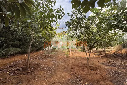 Land For Sale In Awkar – CPTA35
