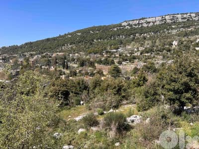 Land for sale in Lehfed, أرض للبيع في لحفد- جبيل