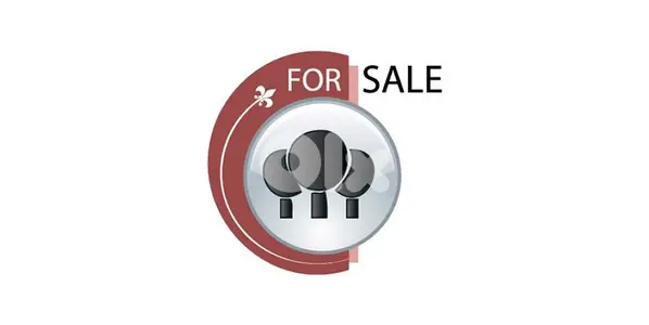 Land for Sale – Baabdat