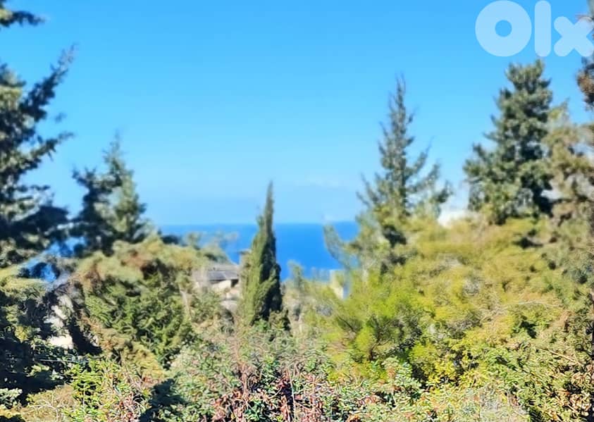 Land for sale in Biyada/ Seaview/ Residential & Commercial 0