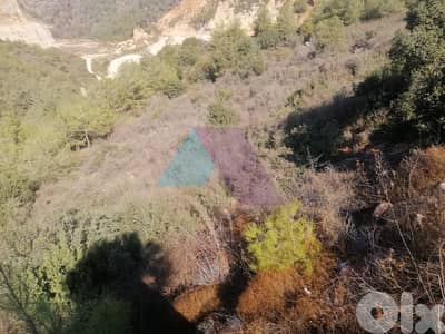 200,000m2 Land+mountain view 4sale in Debbieh - أرض للبيع في الدبية