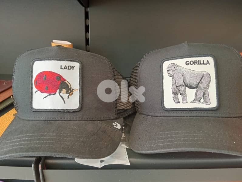 Goorin Caps original big collection from USA 17