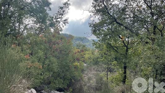 Land for sale in Aannaya- jbeil / ارض للبيع في عنايا جبيل