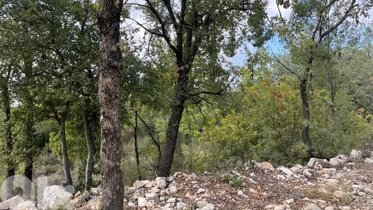 Land for sale in Aannaya- jbeil / ارض للبيع في عنايا جبيل