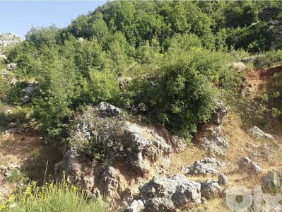 18700m2 Land in Awkar,metn عقار للبيع في عوكر،المتن