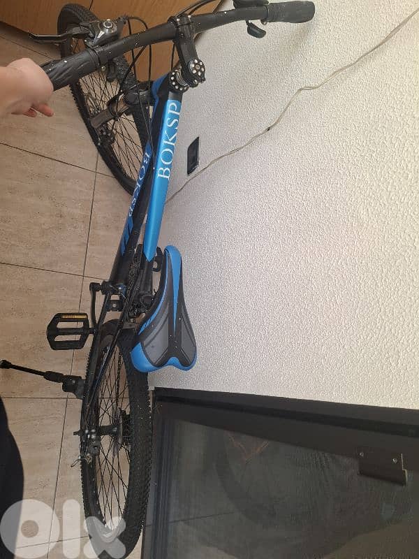 bicycle 0
