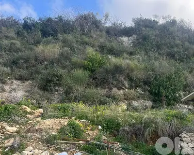 Land for sale in Smar Jbeil أرض للبيع في  سمار جبيل