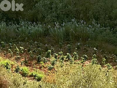 1014 SQM Land in Kfarshima, Baabda Overlooking the Mountains