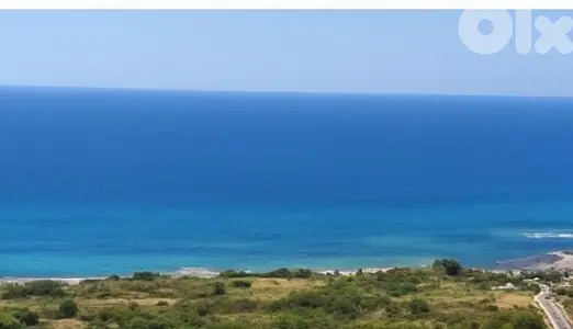land for sale in kfar Abida أرض للبيع في كفرعبيدا