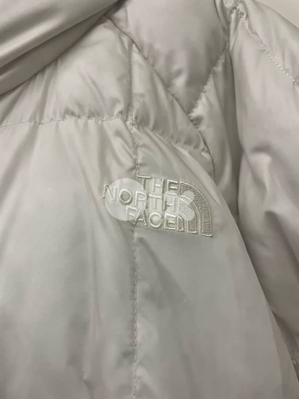 The northface 6