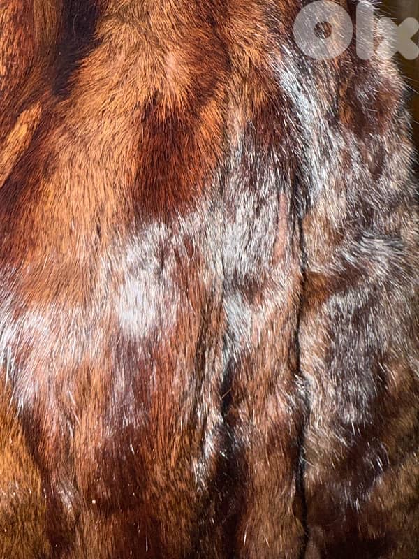 Fur Jacket 1