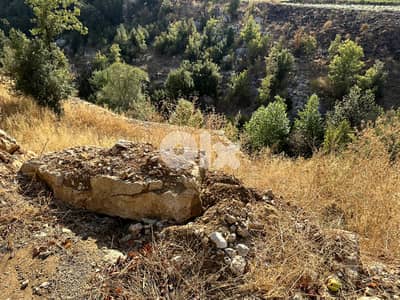 RWK114DZ - Land For Sale in Mayrouba - أرض للبيع في ميروبا